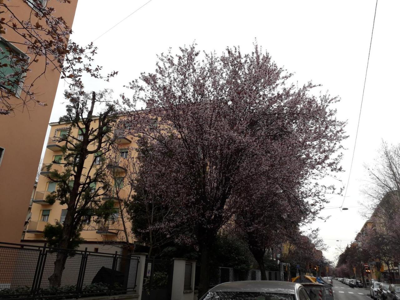 Sant'Orsola Bologna Appartamento Exterior foto